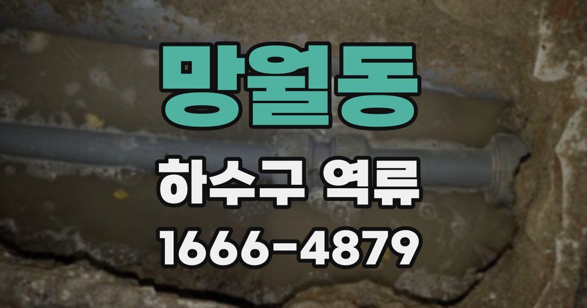 망월동 하수구 역류