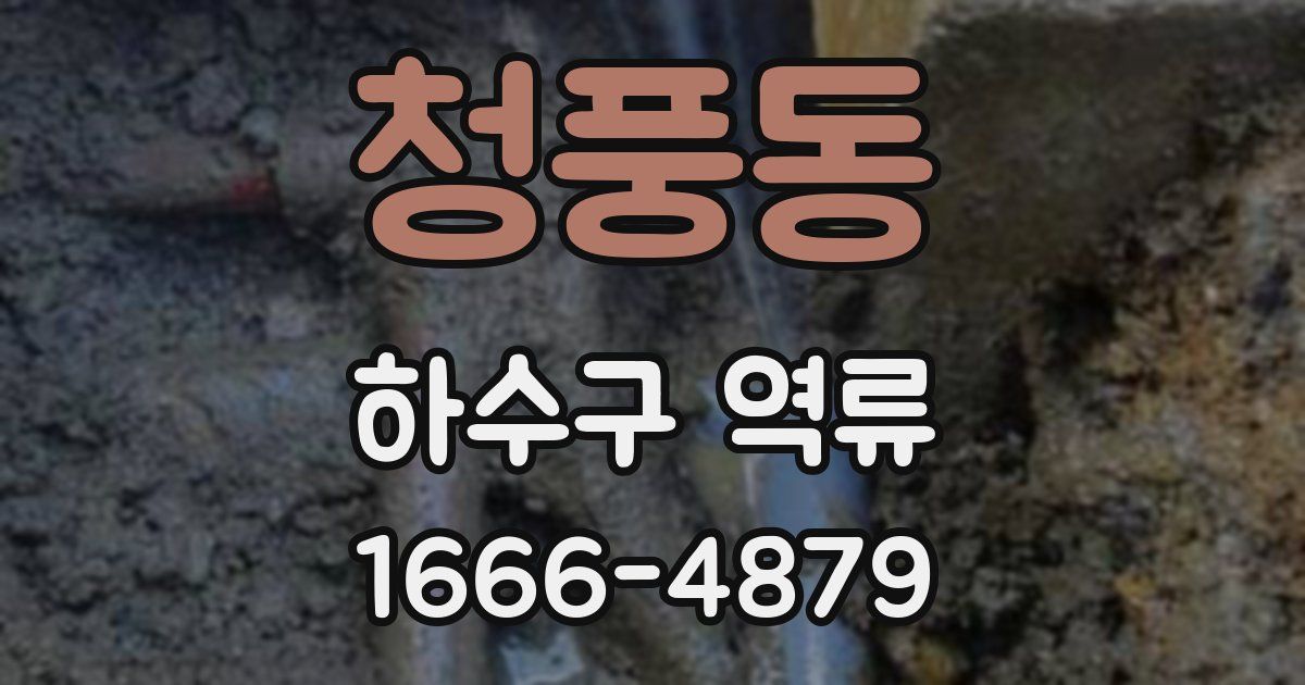 청풍동 하수구 역류