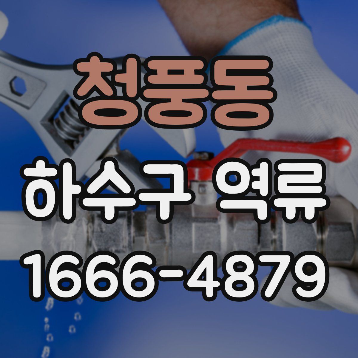 청풍동 하수구 역류