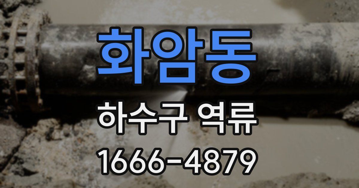 화암동 하수구 역류