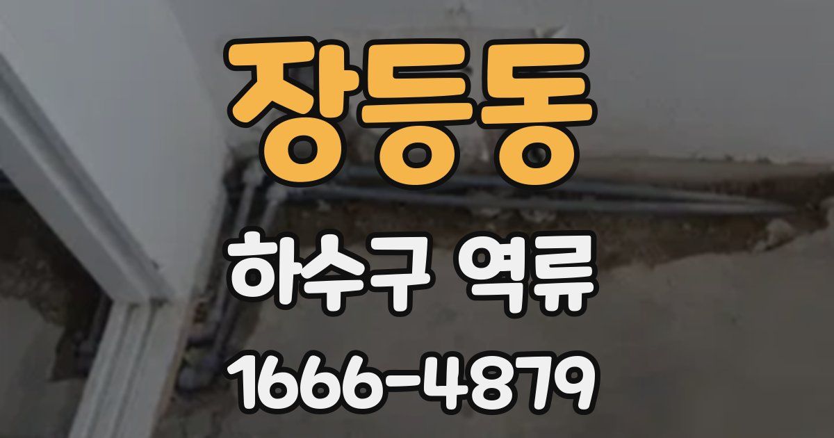 장등동 하수구 역류