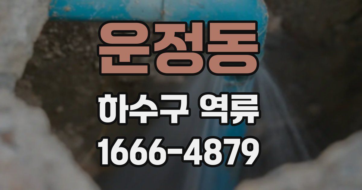 운정동 하수구 역류