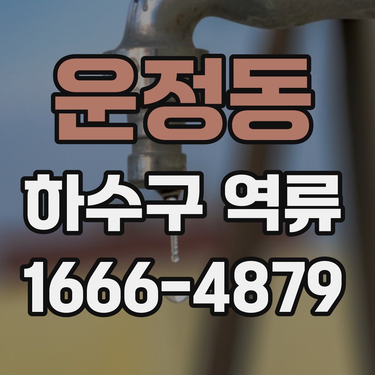 운정동 하수구 역류