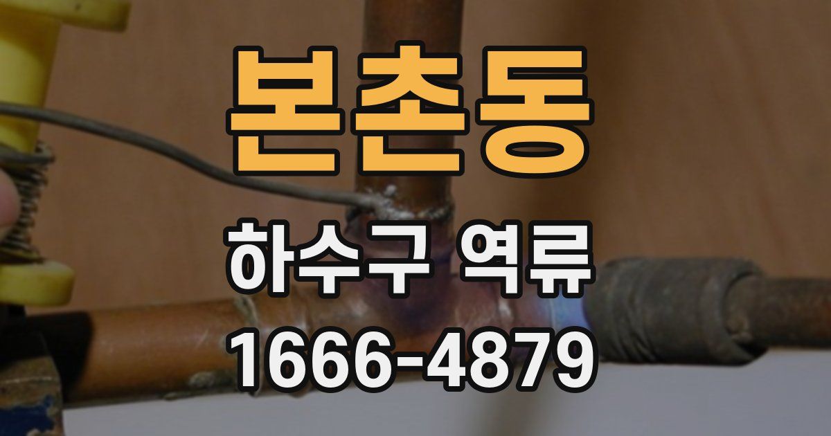 본촌동 하수구 역류