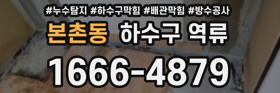 본촌동 하수구 역류
