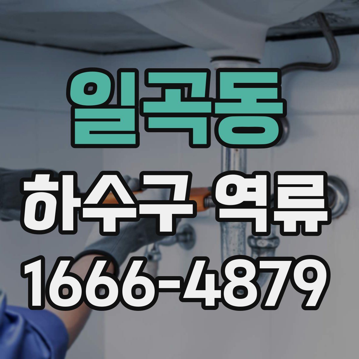 일곡동 하수구 역류