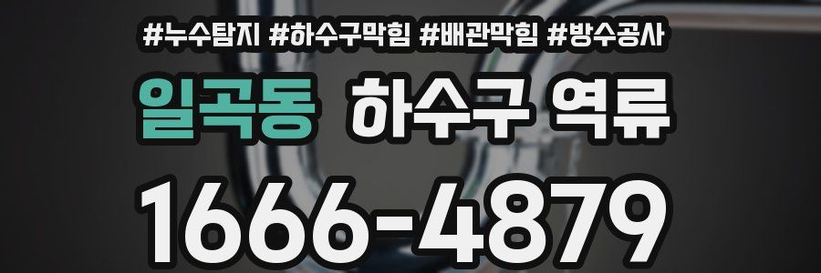일곡동 하수구 역류