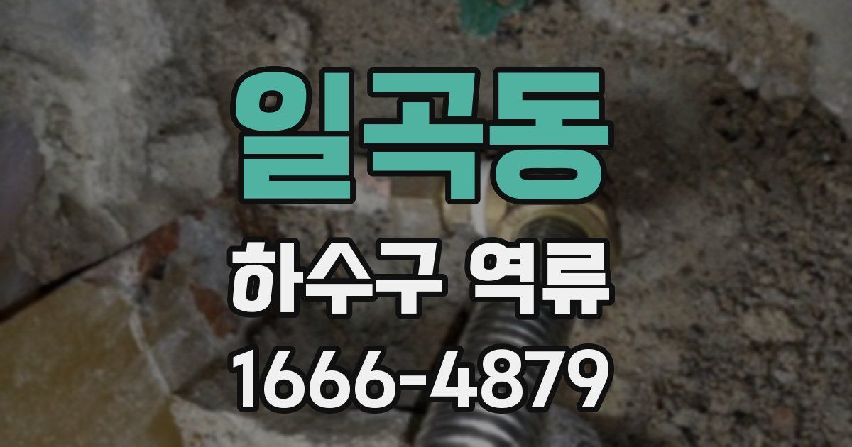 일곡동 하수구 역류