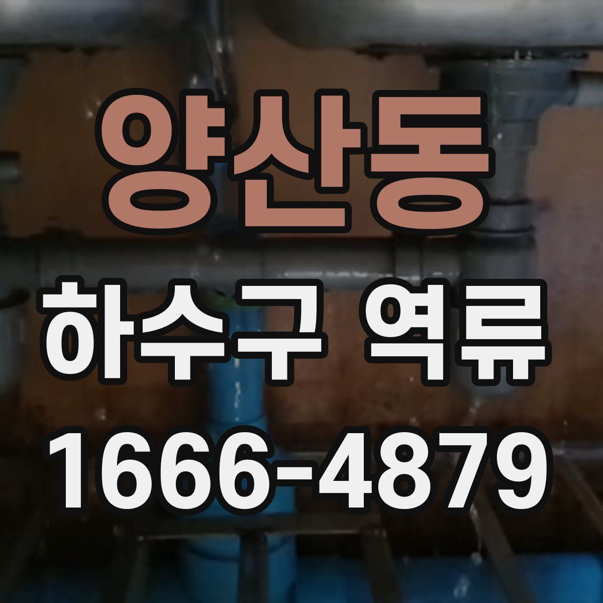 양산동 하수구 역류