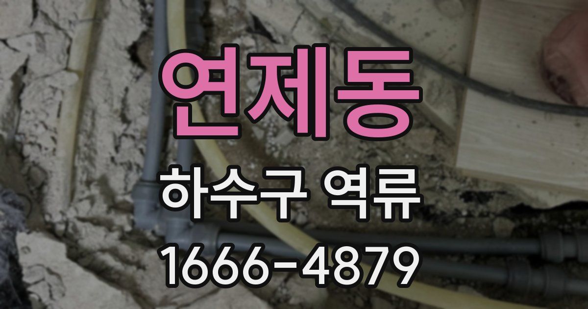 연제동 하수구 역류