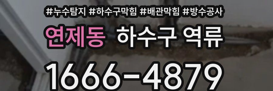 연제동 하수구 역류