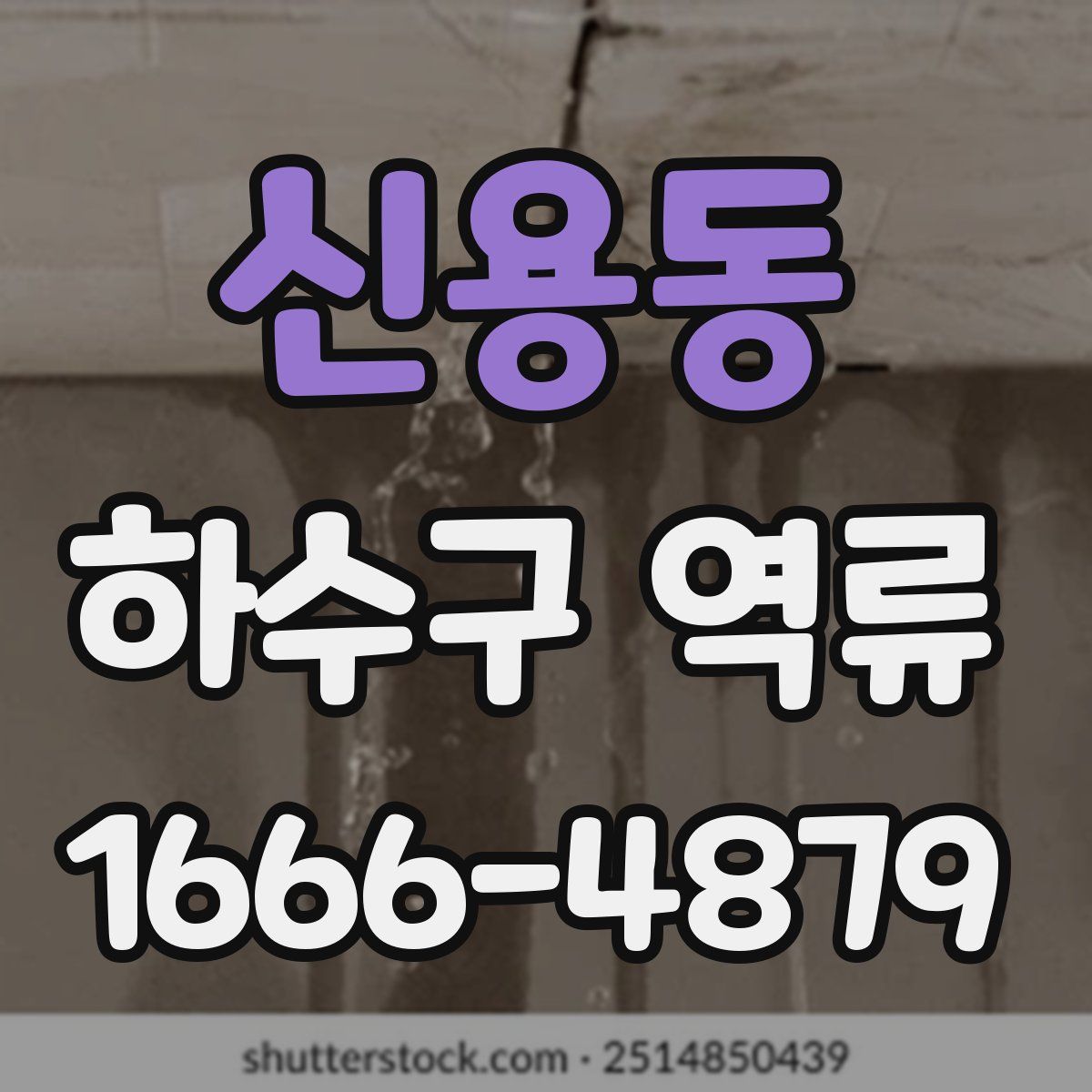 신용동 하수구 역류