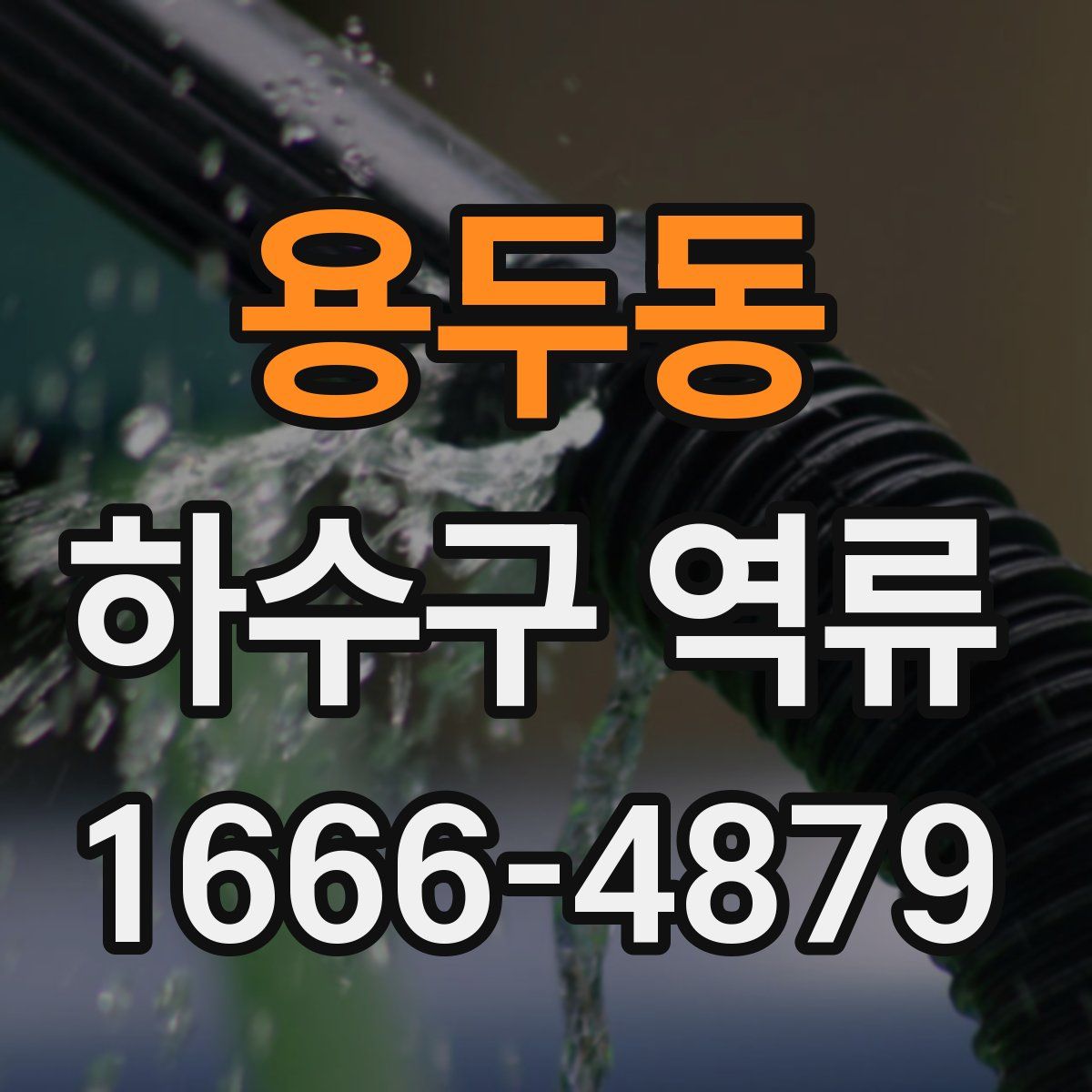 용두동 하수구 역류