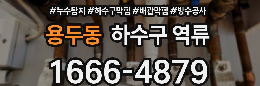 용두동 하수구 역류