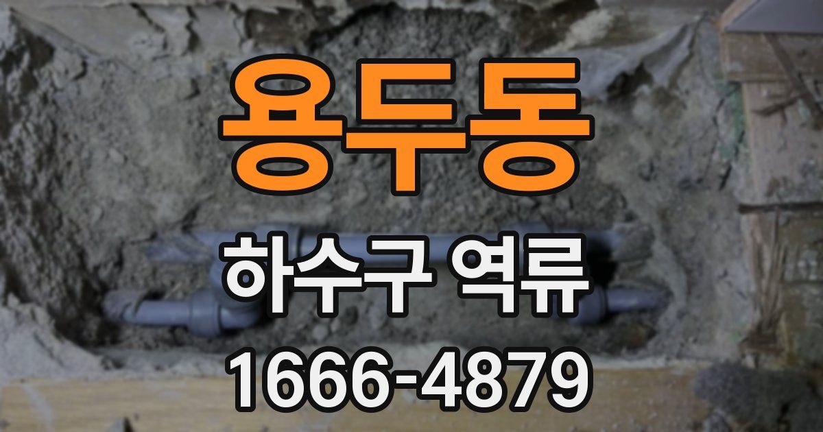 용두동 하수구 역류