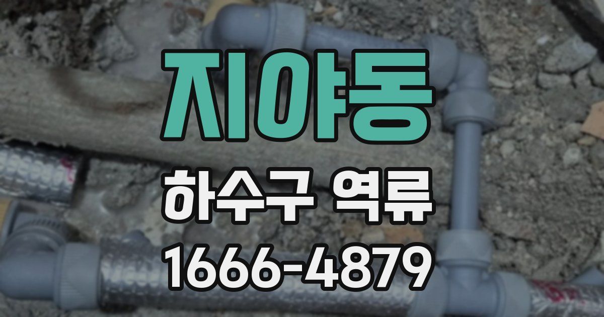지야동 하수구 역류