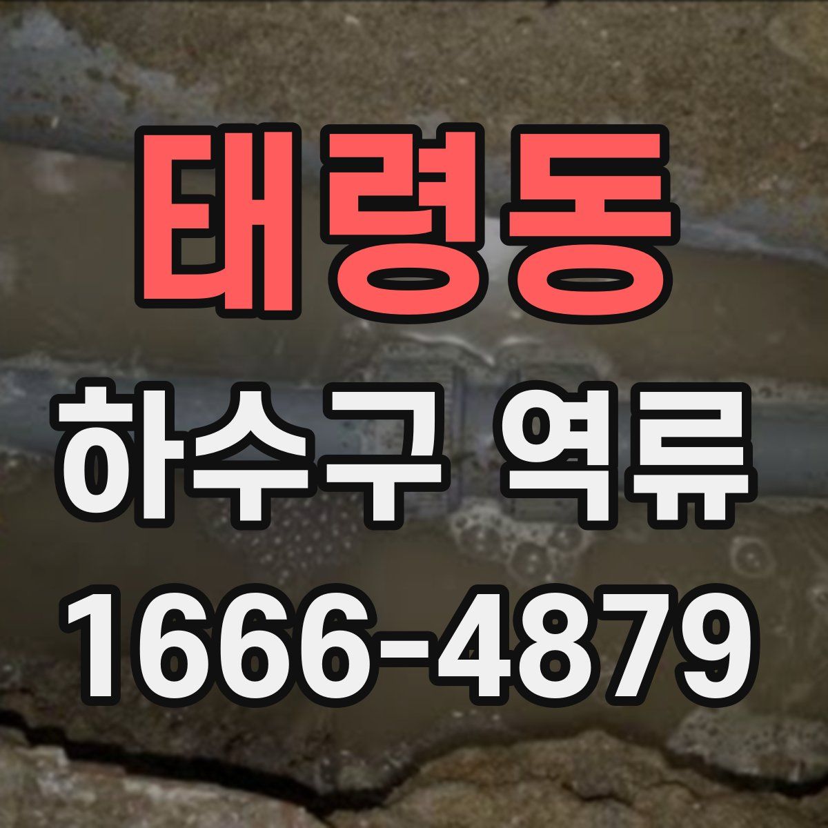태령동 하수구 역류