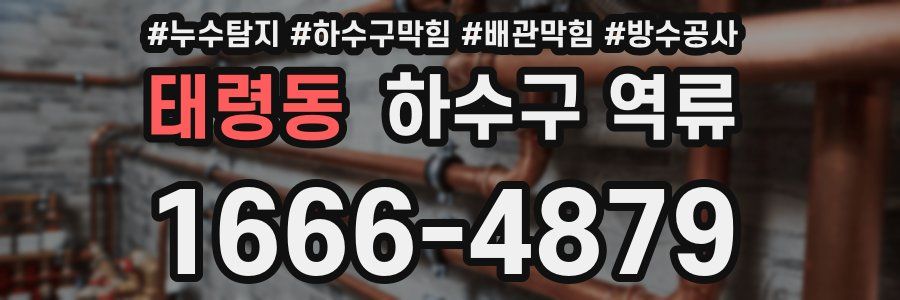 태령동 하수구 역류