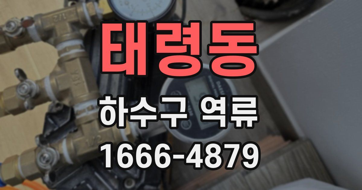 태령동 하수구 역류