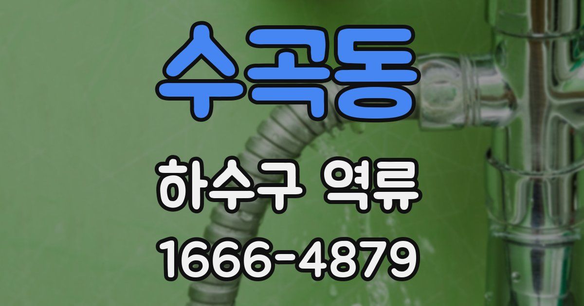 수곡동 하수구 역류