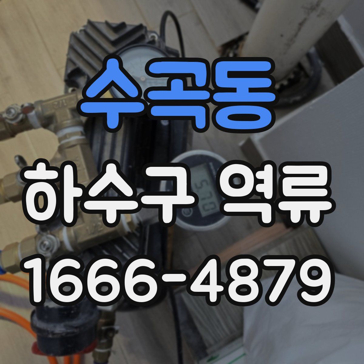 수곡동 하수구 역류