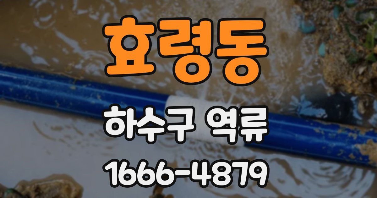 효령동 하수구 역류