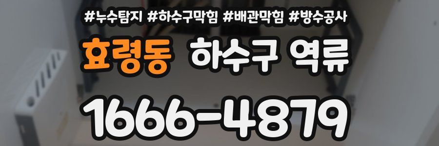 효령동 하수구 역류