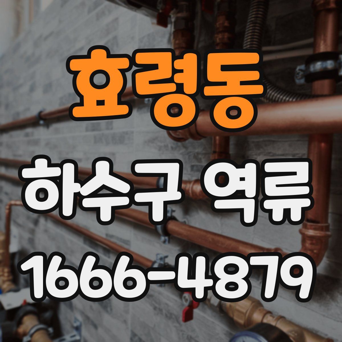 효령동 하수구 역류