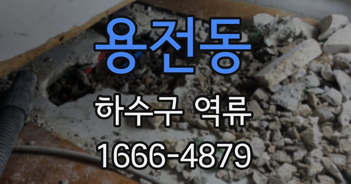 용전동 하수구 역류