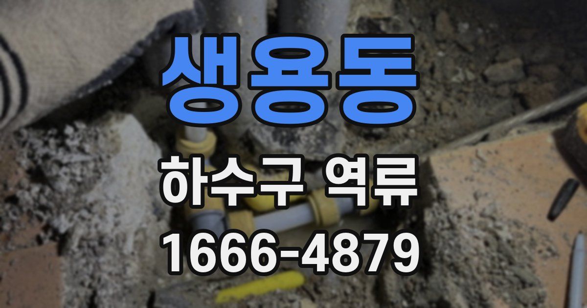 생용동 하수구 역류