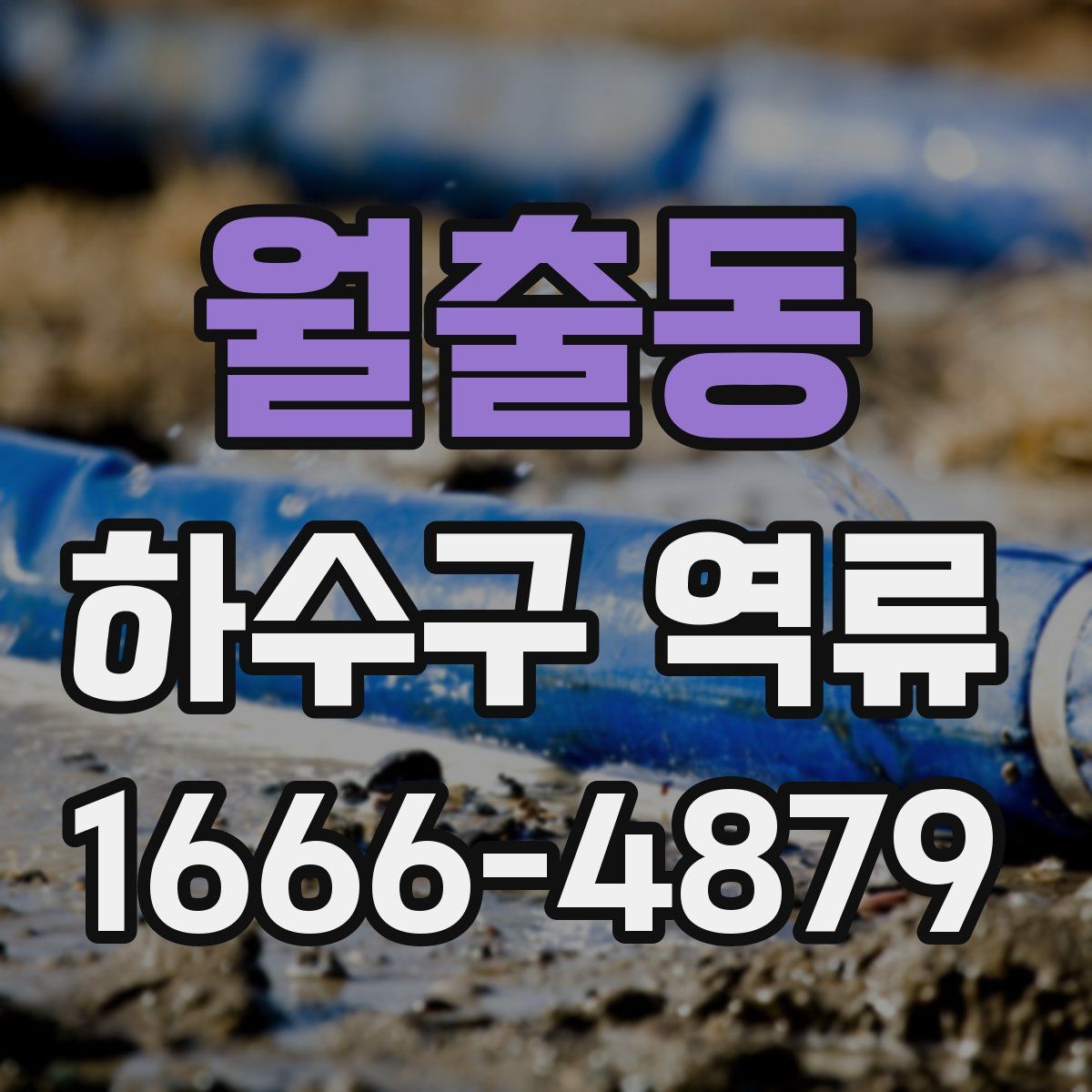 월출동 하수구 역류