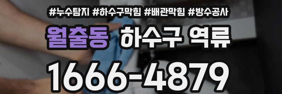 월출동 하수구 역류