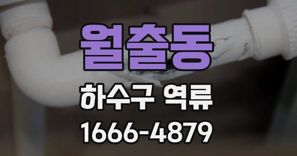 월출동 하수구 역류