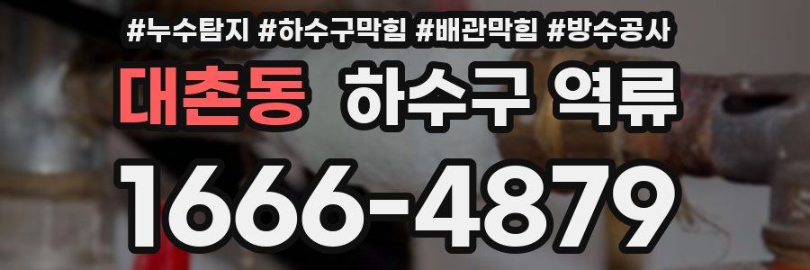 대촌동 하수구 역류