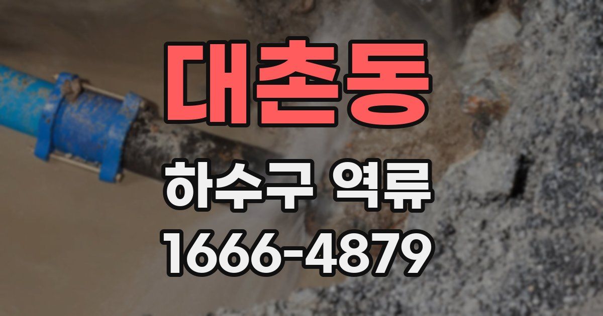 대촌동 하수구 역류