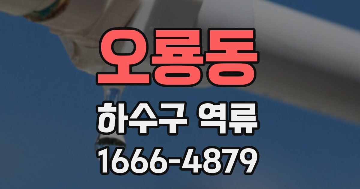 오룡동 하수구 역류