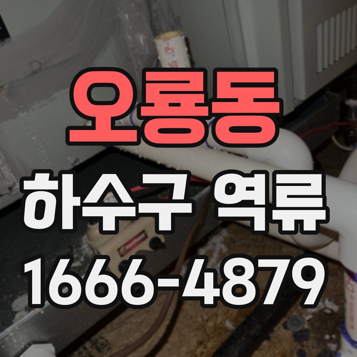 오룡동 하수구 역류