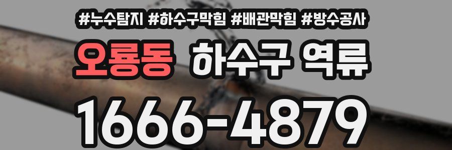오룡동 하수구 역류