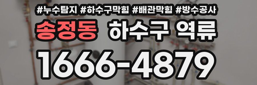 송정동 하수구 역류