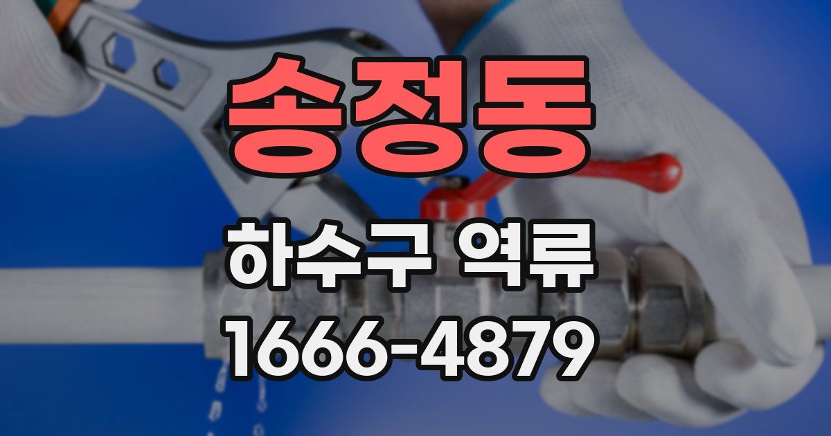 송정동 하수구 역류