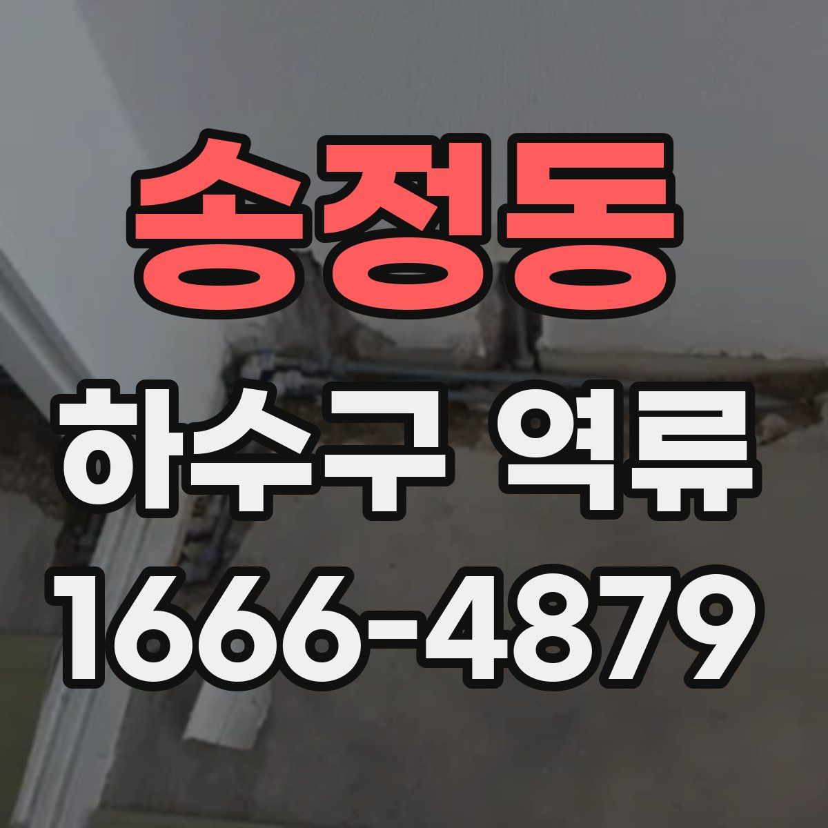 송정동 하수구 역류