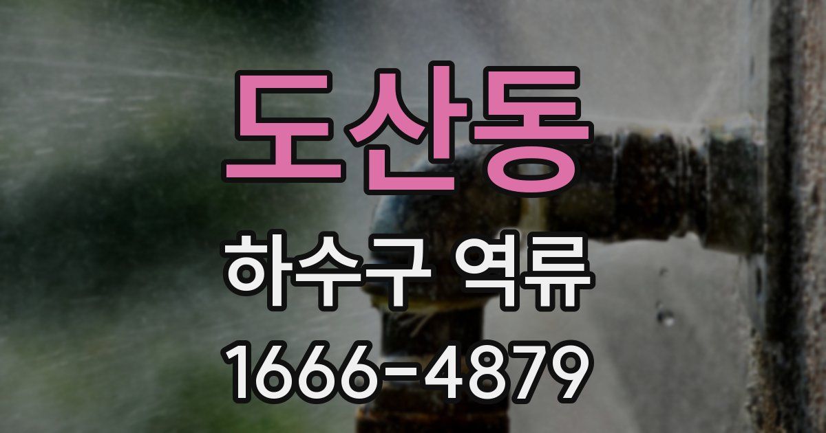 도산동 하수구 역류