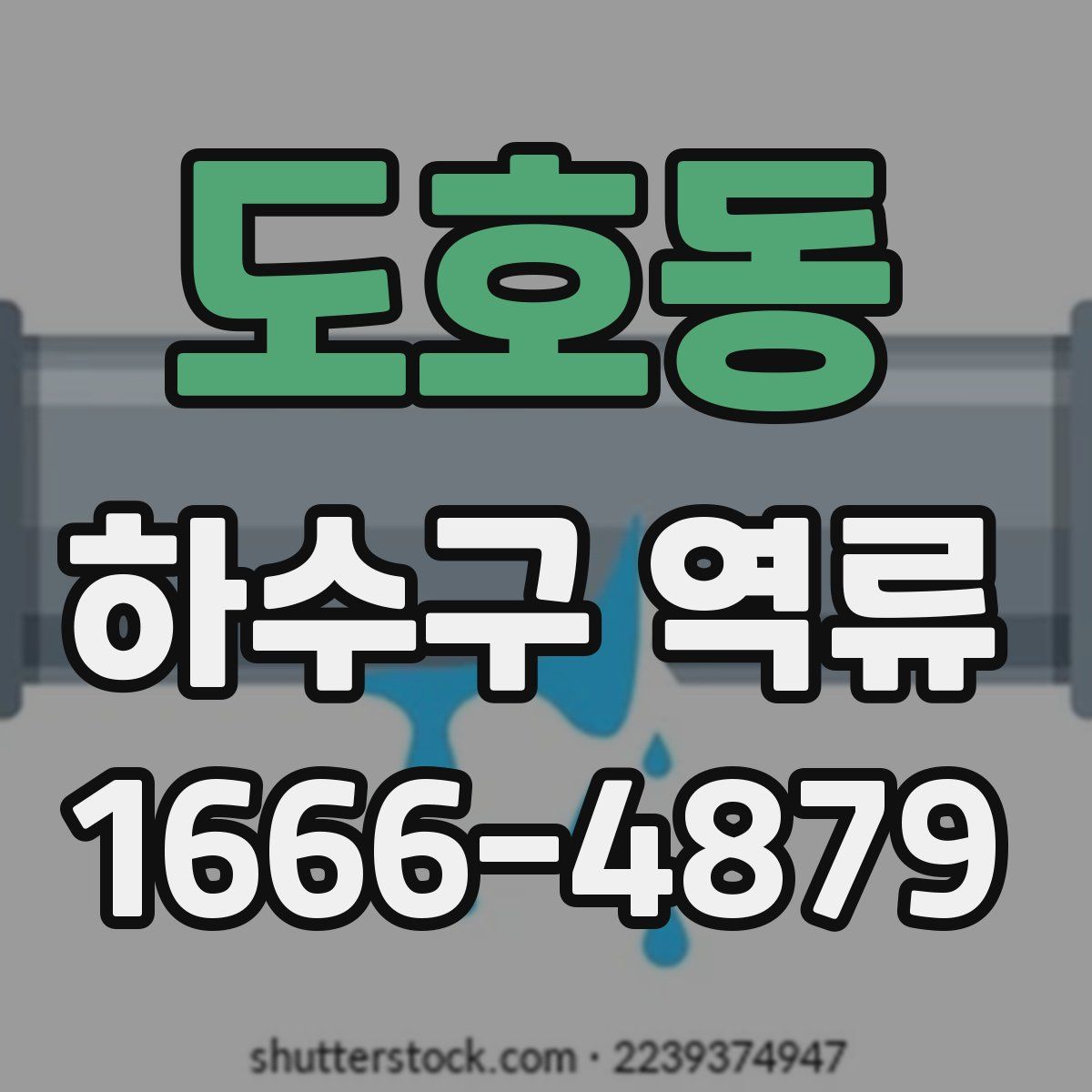 도호동 하수구 역류