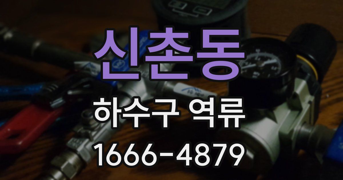 신촌동 하수구 역류