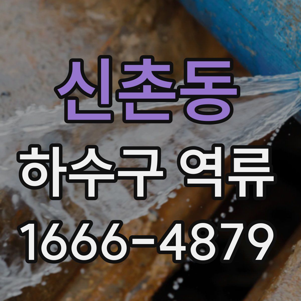 신촌동 하수구 역류