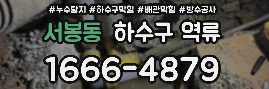 서봉동 하수구 역류