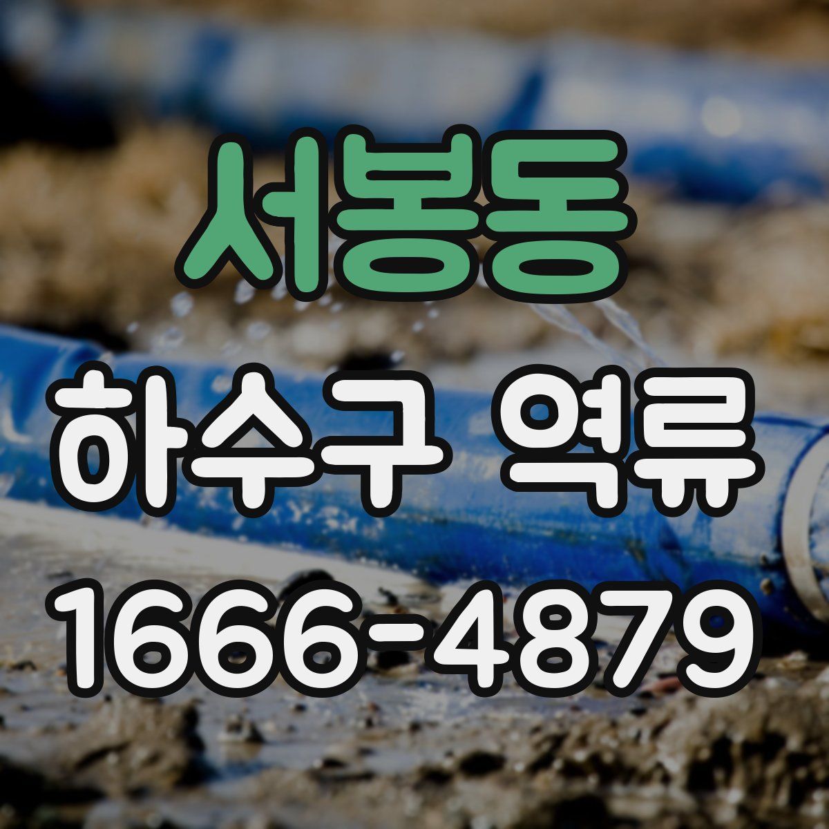 서봉동 하수구 역류