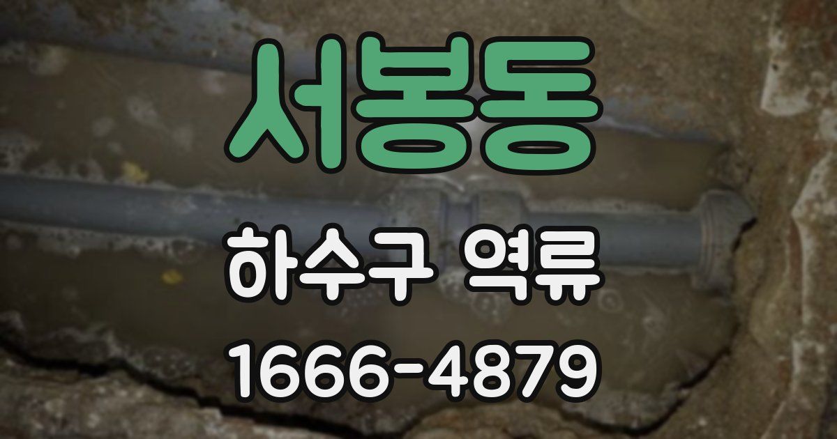 서봉동 하수구 역류