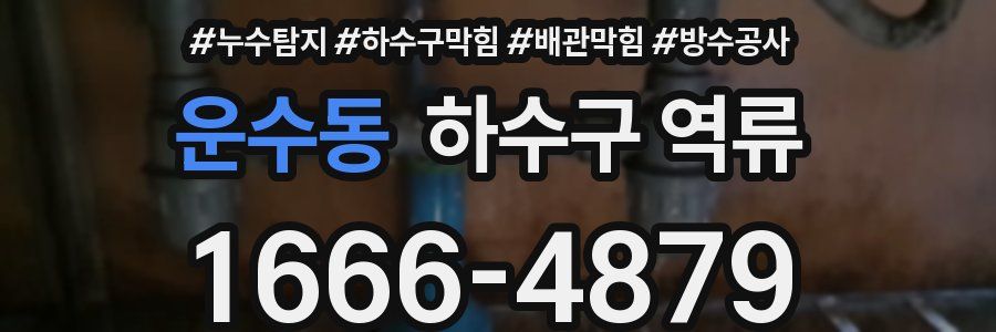 운수동 하수구 역류