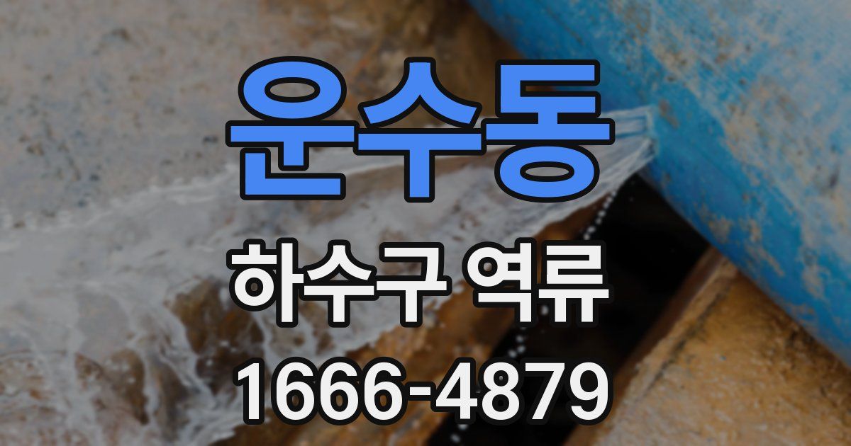 운수동 하수구 역류